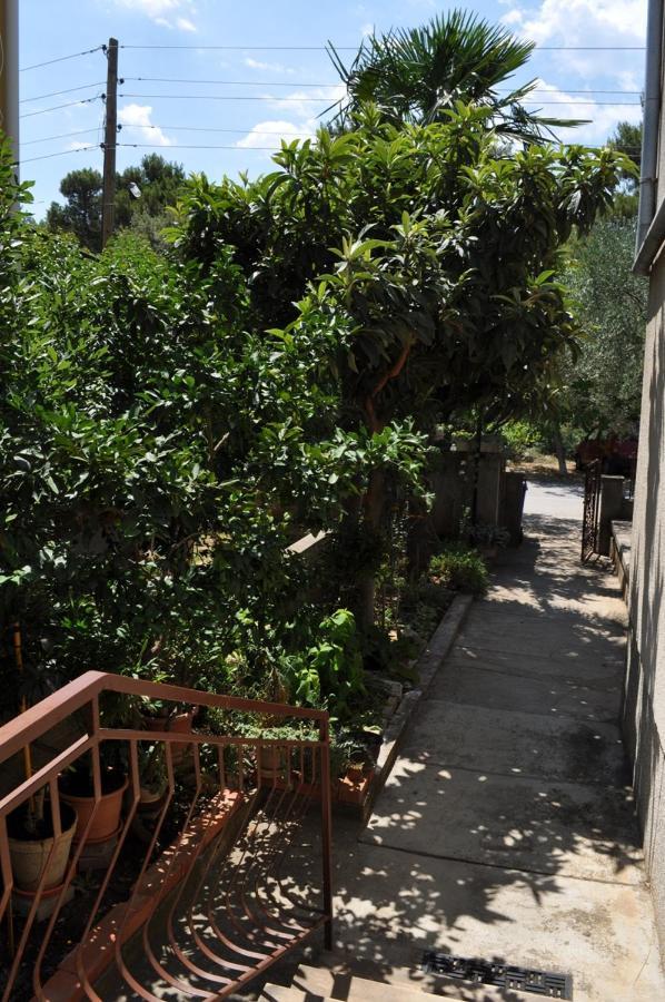 Apartman Kraljev Biograd Na Moru Eksteriør billede